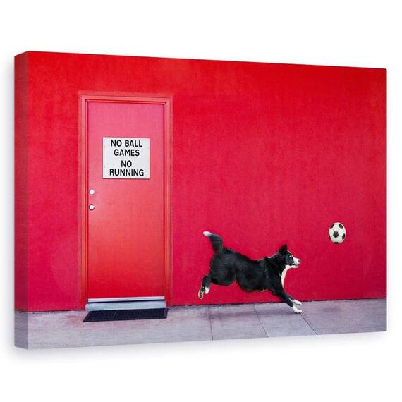 Tablou Canvas - Urmarind Mingea, Marime: 60 x 90 cm - - Roveli