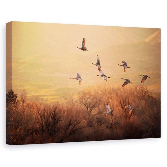 Tablou Canvas - Timp Pretios, Marime: 60 x 90 cm - - Roveli