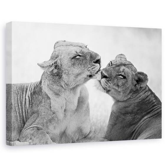 Tablou Canvas - Lei In Alb-Negru, Marime: 60 x 90 cm - - Roveli