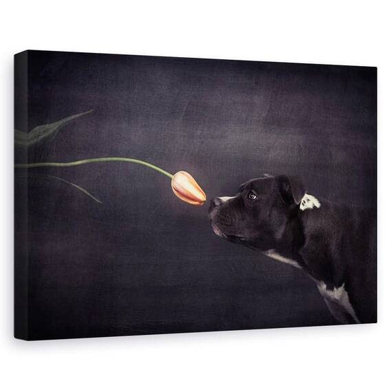 Tablou Canvas - Prima Abordare, Marime: 60 x 90 cm - - Roveli