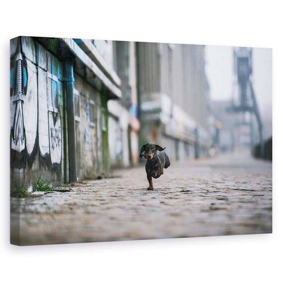 Tablou Canvas - Partea Intunecata A Hamburgului, Marime: 60 x 90 cm - - Roveli