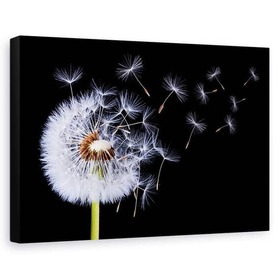 Tablou Canvas - Sufland In Papadie, Marime: 60 x 90 cm - - Roveli