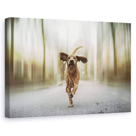 Tablou Canvas - Dansand Pe Strazi, Marime: 60 x 90 cm - - Roveli
