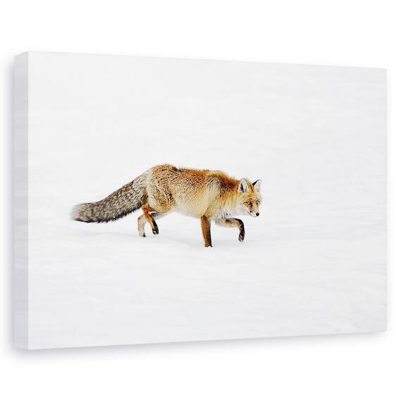 Tablou Canvas - Foxy, Marime: 60 x 90 cm - - Roveli