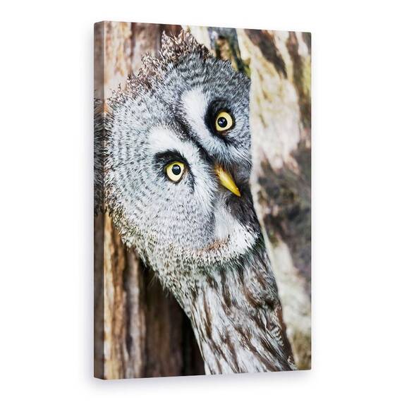 Tablou Canvas - Cine E Acolo?, Marime: 60 x 90 cm - - Roveli