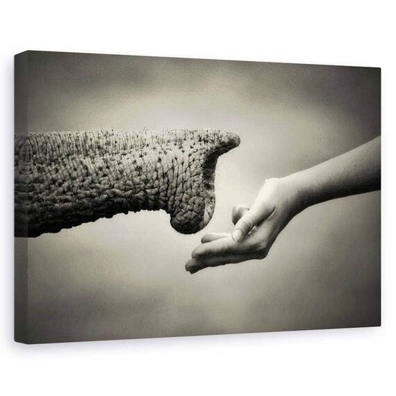 Tablou Canvas - Ofera Si Primeste - - Roveli