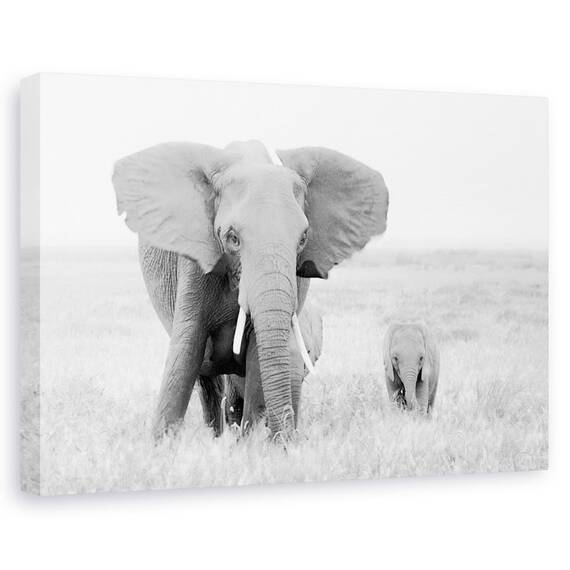 Tablou Canvas - Stai Departe, Marime: 60 x 90 cm - - Roveli