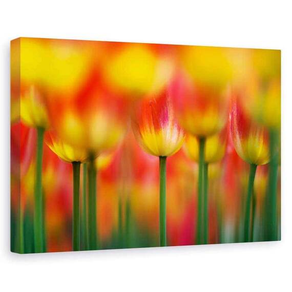 Tablou Canvas - Alaturi - - Roveli