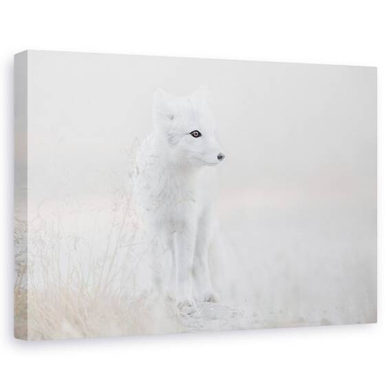 Tablou Canvas - Privind In Jur, Marime: 60 x 90 cm - - Roveli