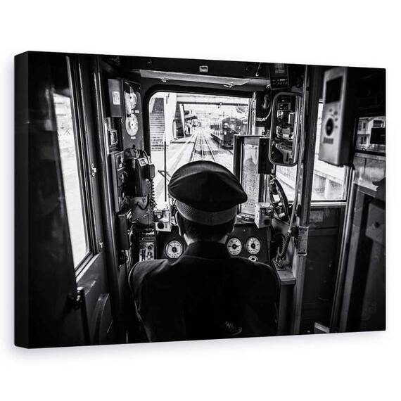 Tablou Canvas - Conducatorul Auto - - Roveli