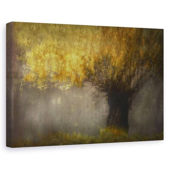 Tablou Canvas - Salcie Pollard, Marime: 60 x 90 cm - - Roveli