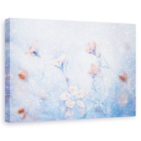 Tablou Canvas - Gradina Mea De Iarna, Marime: 60 x 90 cm - - Roveli