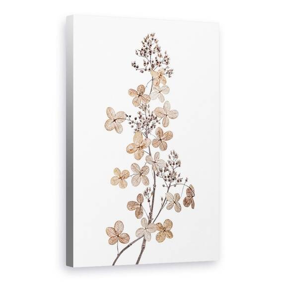 Tablou Canvas - Hortensie Paniculata, Marime: 60 x 90 cm - - Roveli