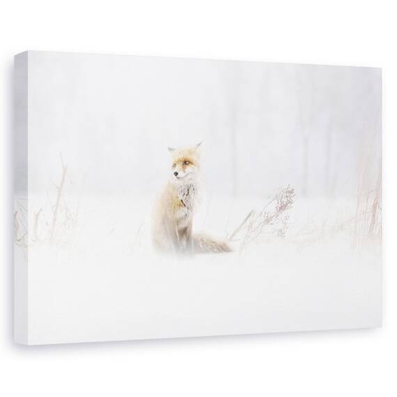 Tablou Canvas - Asteptand, Marime: 60 x 90 cm - - Roveli