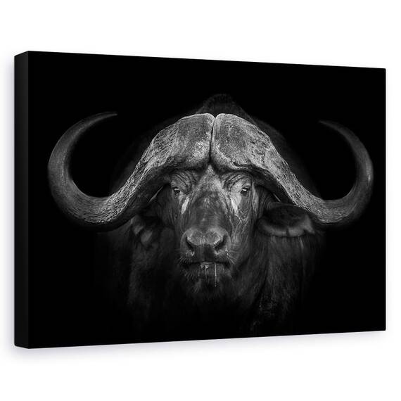 Tablou Canvas - Coarne Mari, Marime: 60 x 90 cm - - Roveli