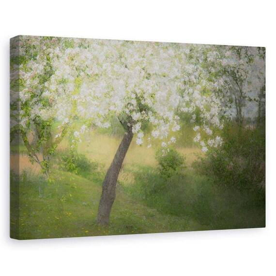 Tablou Canvas - In Gradina, Marime: 60 x 90 cm - - Roveli