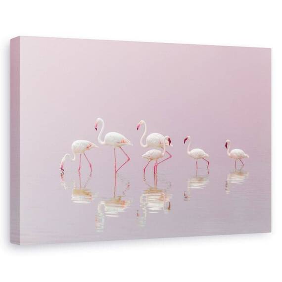 Tablou Canvas - Flamingo, Marime: 60 x 90 cm - - Roveli