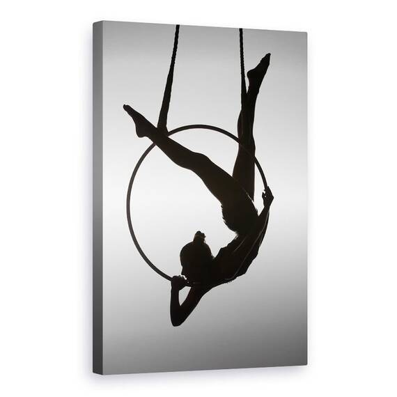 Tablou Canvas - Aerialistul, Marime: 60 x 90 cm - - Roveli