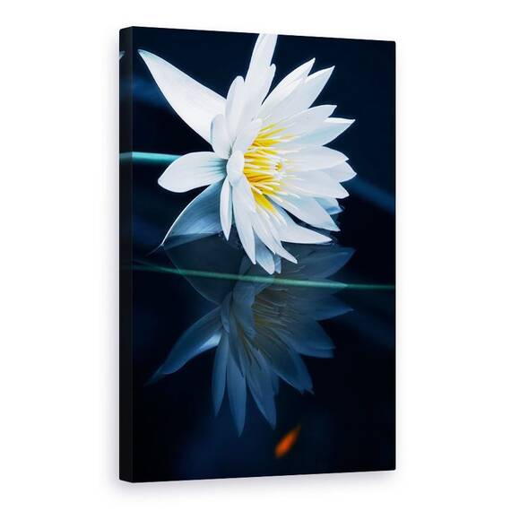 Tablou Canvas - Reflectie, Marime: 60 x 90 cm - - Roveli
