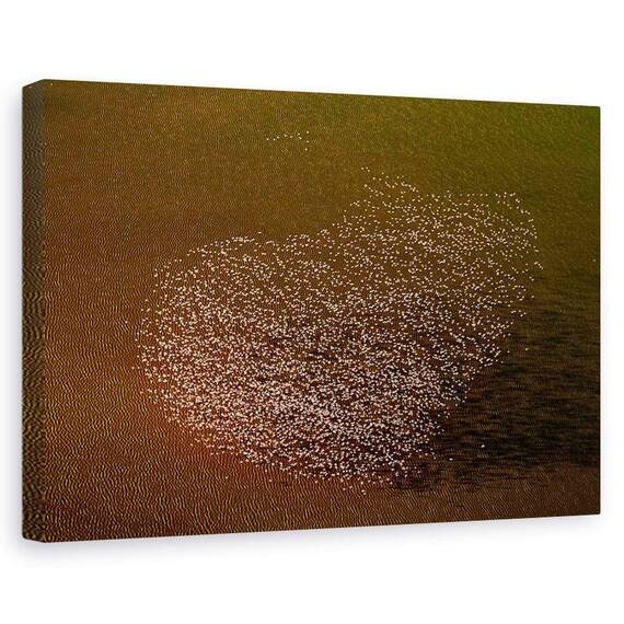 Tablou Canvas - Dragostea De Flamingo, Marime: 60 x 90 cm - - Roveli