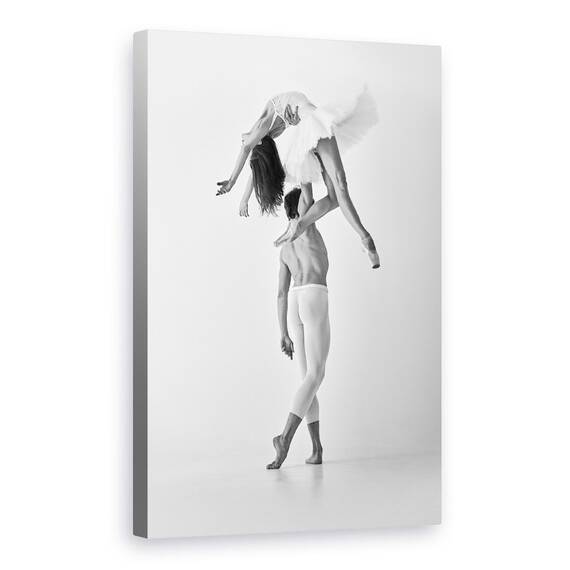 Tablou Canvas - Moliciune Si Rezistenta, Marime: 60 x 90 cm - - Roveli