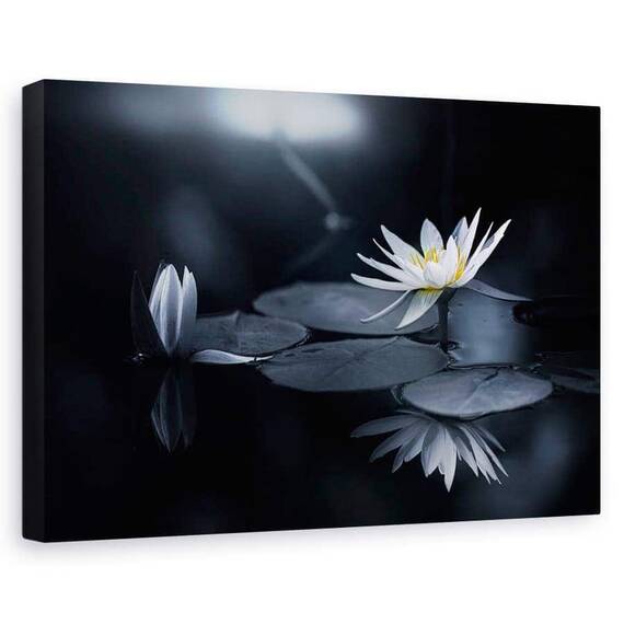 Tablou Canvas - Reflectie, Marime: 60 x 90 cm - - Roveli