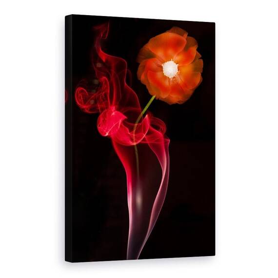 Tablou Canvas - Floare Rosie, Marime: 60 x 90 cm - - Roveli