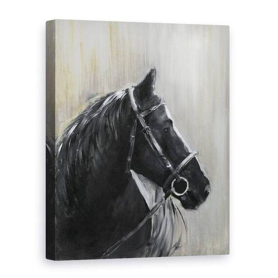 Tablou canvas - Animale, Cal, Negru, Pictura - - Roveli