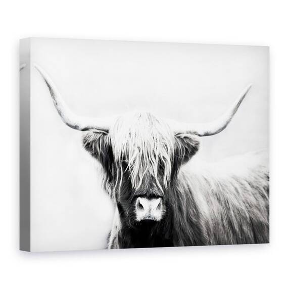 Tablou canvas - Animale, Bovine Highland Scotiene, Alb-Negru, Marime: 75 x 100 cm - - Roveli