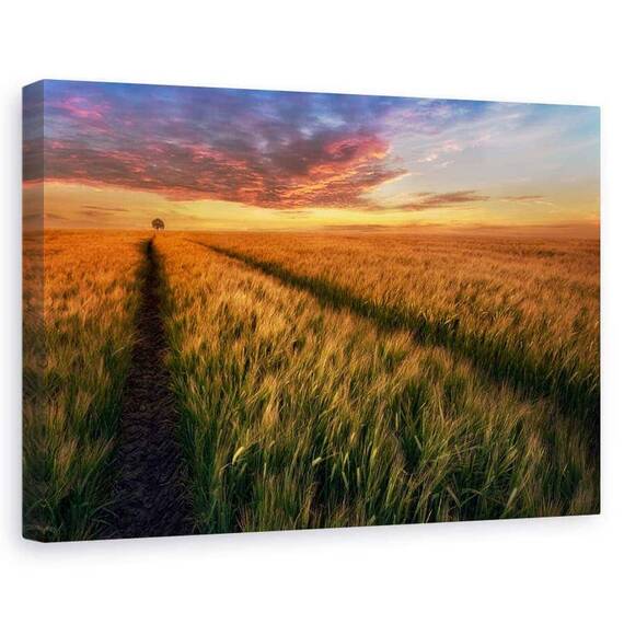 Tablou Canvas - Undeva La Apus, Marime: 60 x 90 cm - - Roveli