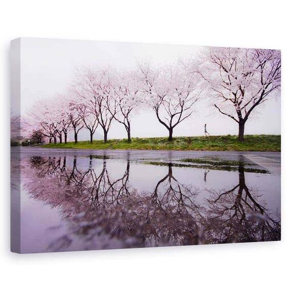 Tablou Canvas - Ploaie De Primavara, Marime: 60 x 90 cm - - Roveli