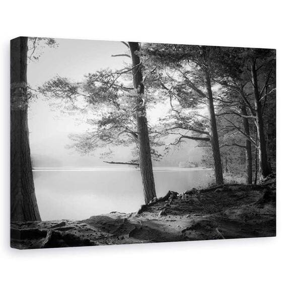 Tablou Canvas - Loch An Eilein, Marime: 60 x 90 cm - - Roveli