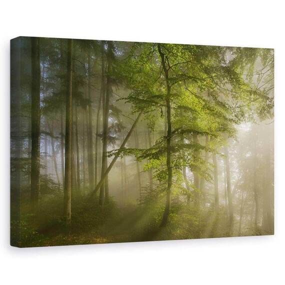 Tablou Canvas - Frumusetea Diminetii, Marime: 60 x 90 cm - - Roveli
