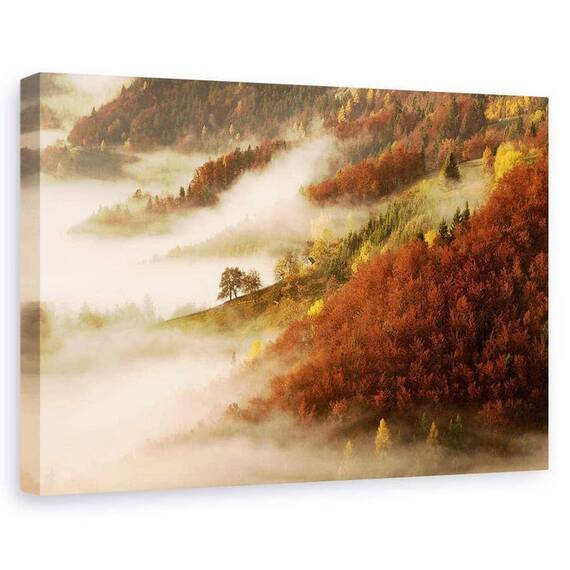 Tablou Canvas - Ceata De Noiembrie, Marime: 60 x 90 cm - - Roveli