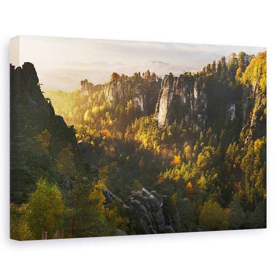 Tablou Canvas - Padurea Soaptelor, Marime: 60 x 90 cm - - Roveli