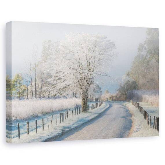 Tablou Canvas - O Dimineata Inghetata, Marime: 60 x 90 cm - - Roveli