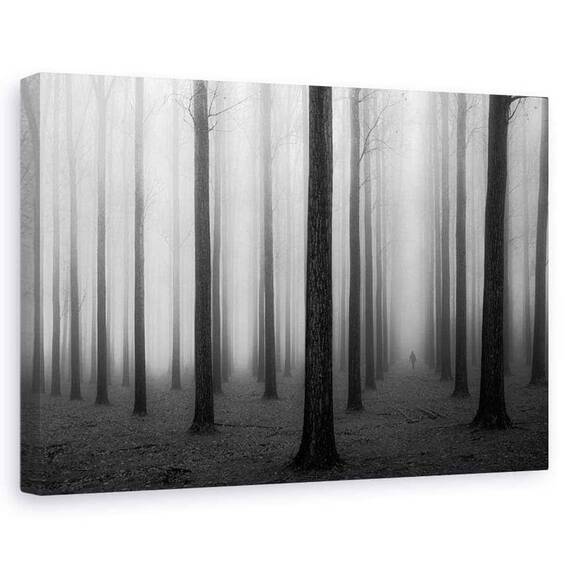 Tablou Canvas - In Ceata, Marime: 60 x 90 cm - - Roveli