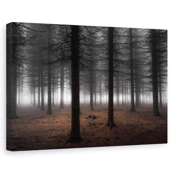 Tablou Canvas - Tacere, Marime: 60 x 90 cm - - Roveli