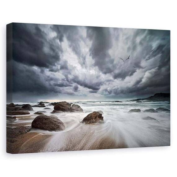 Tablou Canvas - Zbor Peste Ape Tulburi, Marime: 60 x 90 cm - - Roveli