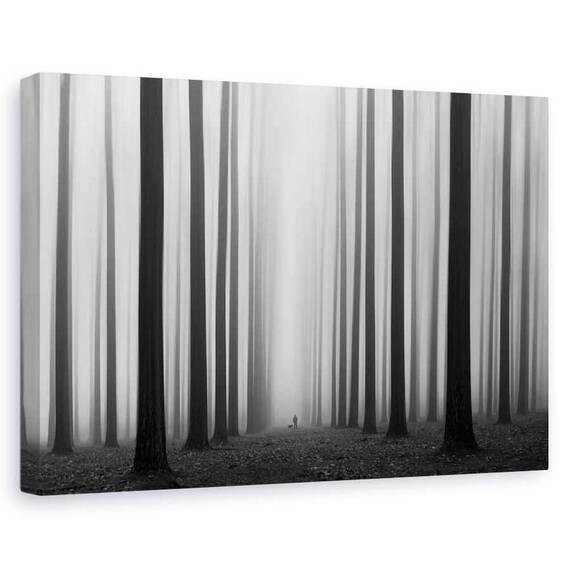 Tablou Canvas - Labirint, Marime: 60 x 90 cm - - Roveli
