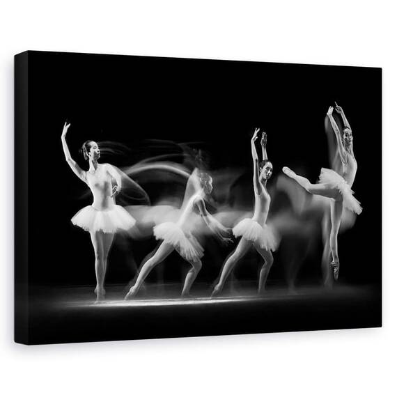 Tablou Canvas - Balerine, Marime: 60 x 90 cm - - Roveli
