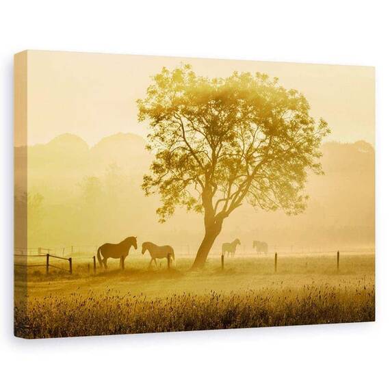 Tablou Canvas - Caii De Aur, Marime: 60 x 90 cm - - Roveli