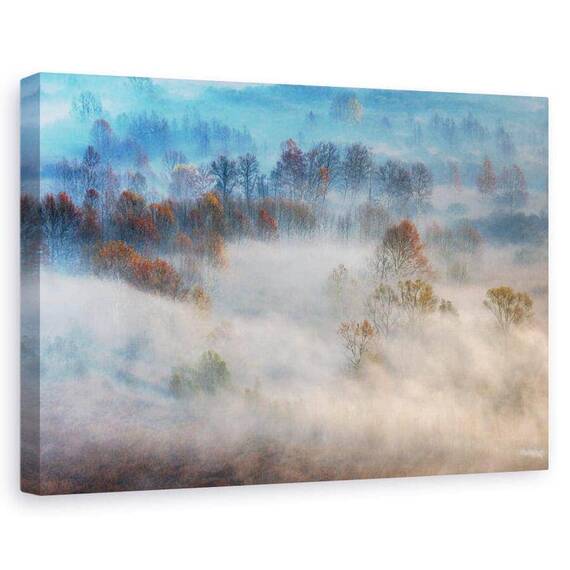 Tablou Canvas - Copaci In Ceata Matinala - - Roveli