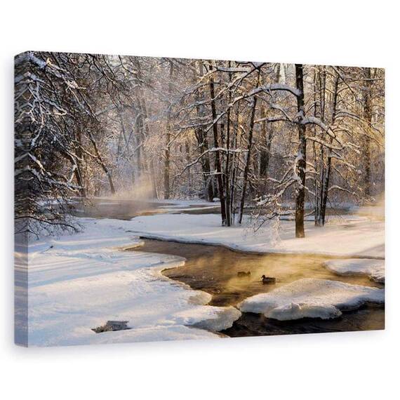Tablou Canvas - Prima Lumina, Marime: 60 x 90 cm - - Roveli