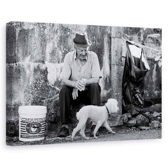 Tablou Canvas - Cuceritorul, Marime: 60 x 90 cm - - Roveli