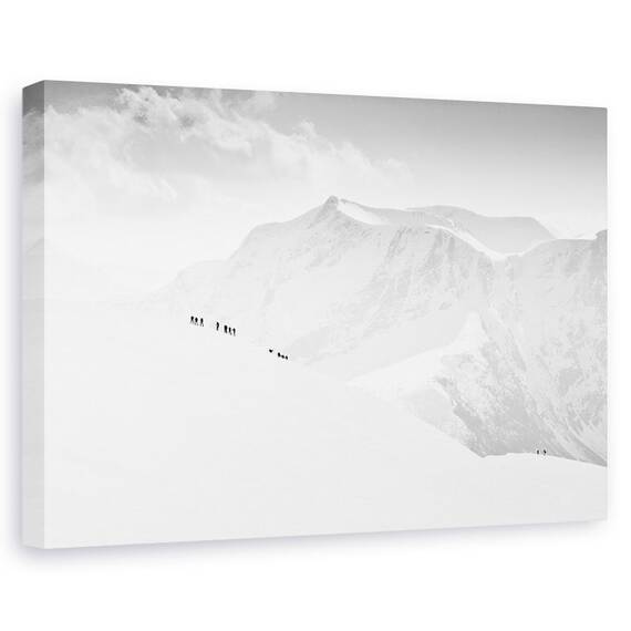 Tablou Canvas - Schiori, Marime: 60 x 90 cm - - Roveli