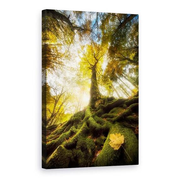 Tablou Canvas - Ramas Bun De La O Frunza, Marime: 60 x 90 cm - - Roveli