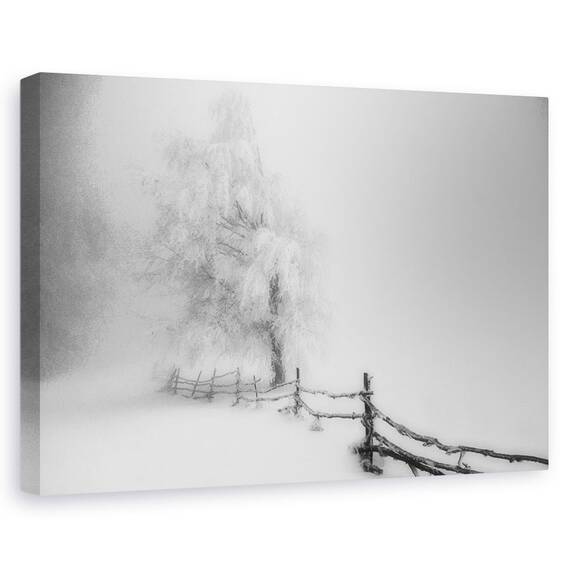 Tablou Canvas -  Prins, Marime: 60 x 90 cm - - Roveli