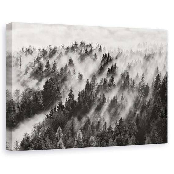 Tablou Canvas - In Lumina Soarelui, Marime: 60 x 90 cm - - Roveli