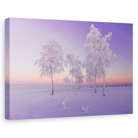 Tablou Canvas - Seara De Ianuarie, Marime: 60 x 90 cm - - Roveli